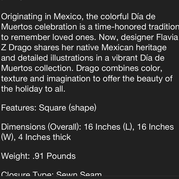 Day of The Dead Accent Pillow - Picture 15 of 15